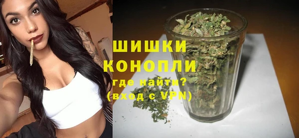 амф Кулебаки