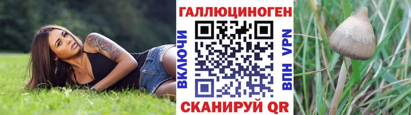 Галлюциногенные грибы мицелий  Люберцы 